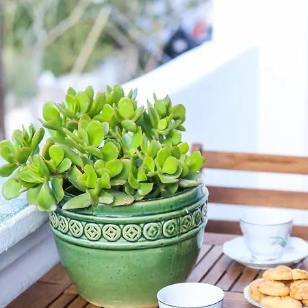 酒店 加里尼酒店